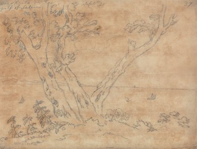 Near Raito on the Gulf of Salerno by John Robert Cozens